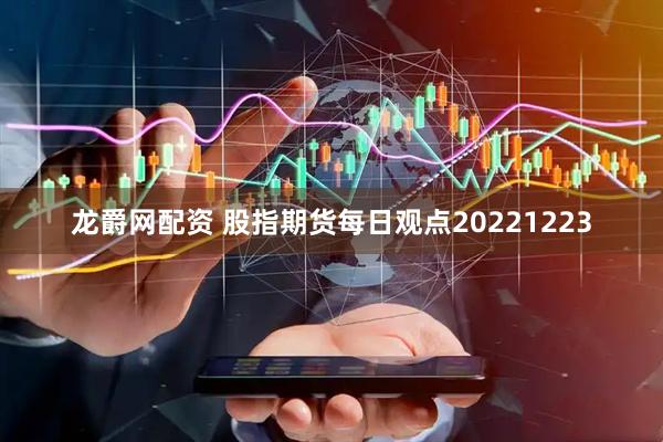 龙爵网配资 股指期货每日观点20221223