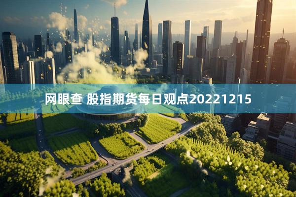 网眼查 股指期货每日观点20221215