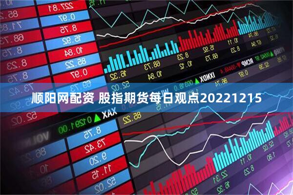 顺阳网配资 股指期货每日观点20221215
