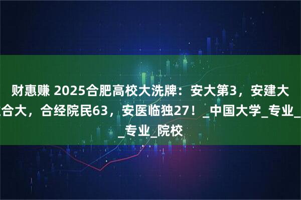 财惠赚 2025合肥高校大洗牌：安大第3，安建大远胜合大，合经院民63，安医临独27！_中国大学_专业_院校