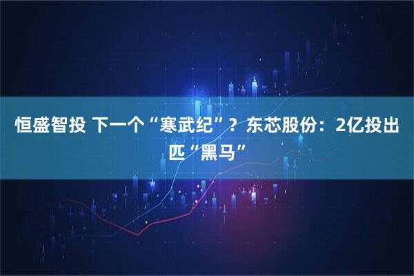 恒盛智投 下一个“寒武纪”？东芯股份：2亿投出匹“黑马”