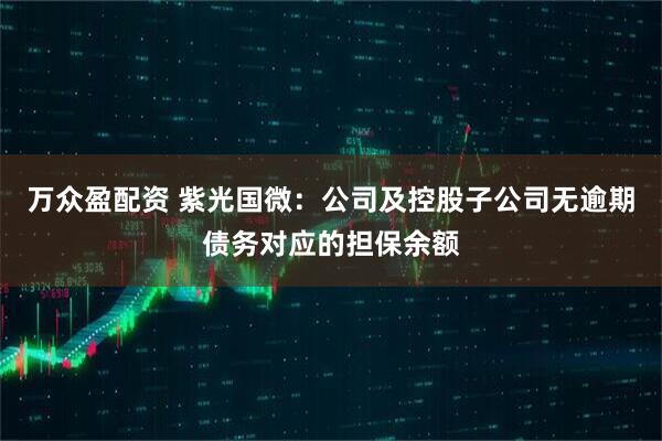 万众盈配资 紫光国微：公司及控股子公司无逾期债务对应的担保余额